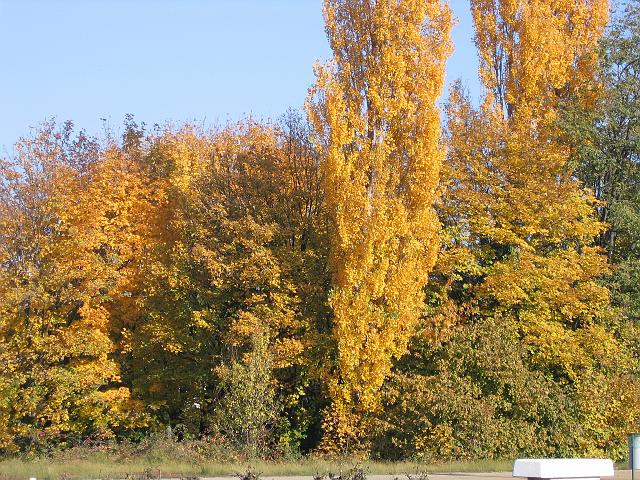 Photo 127.jpg
